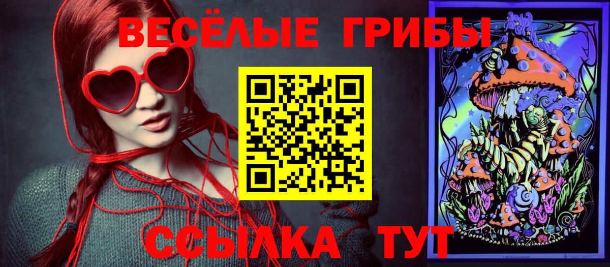 Галлюциногенные грибы Psilocybe Элиста