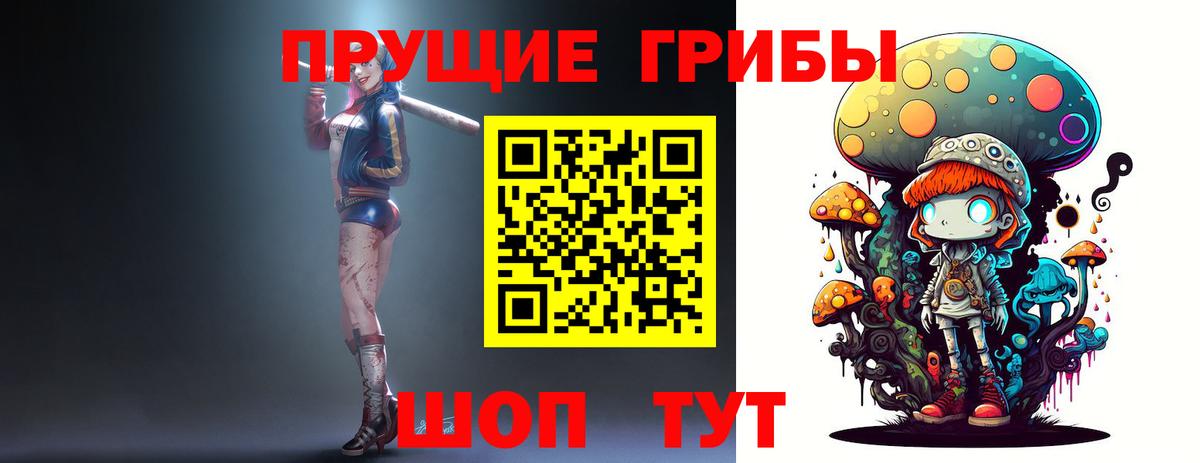 как найти наркотики  Псилоцибиновые грибы Psilocybe  Галлюциногенные грибы Magic Shrooms  Вход с VPN  Элиста 